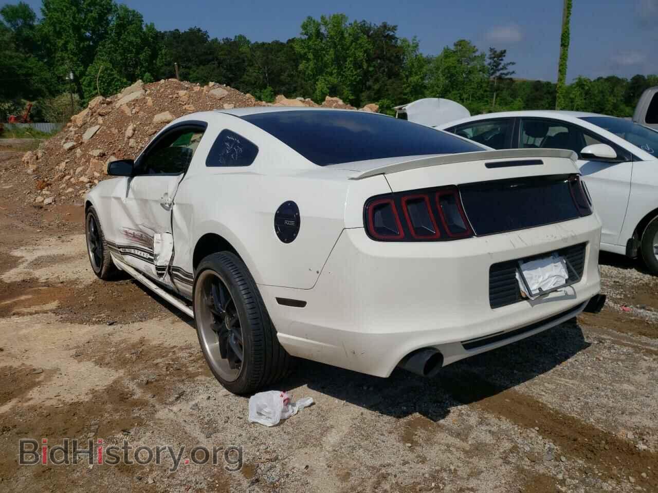 2013 FORD MUSTANG - VIN: 1ZVBP8AM2D5224963 - Фото 3