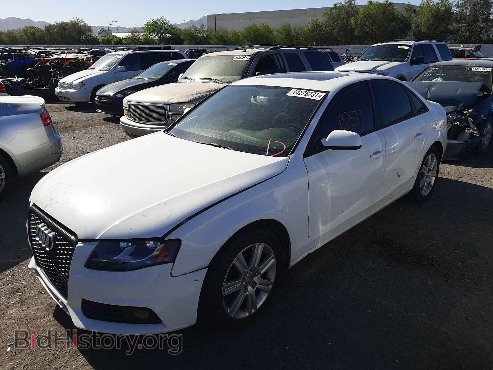 2010 AUDI A4 - VIN: WAUAFAFL0AN021314 - Фото 2