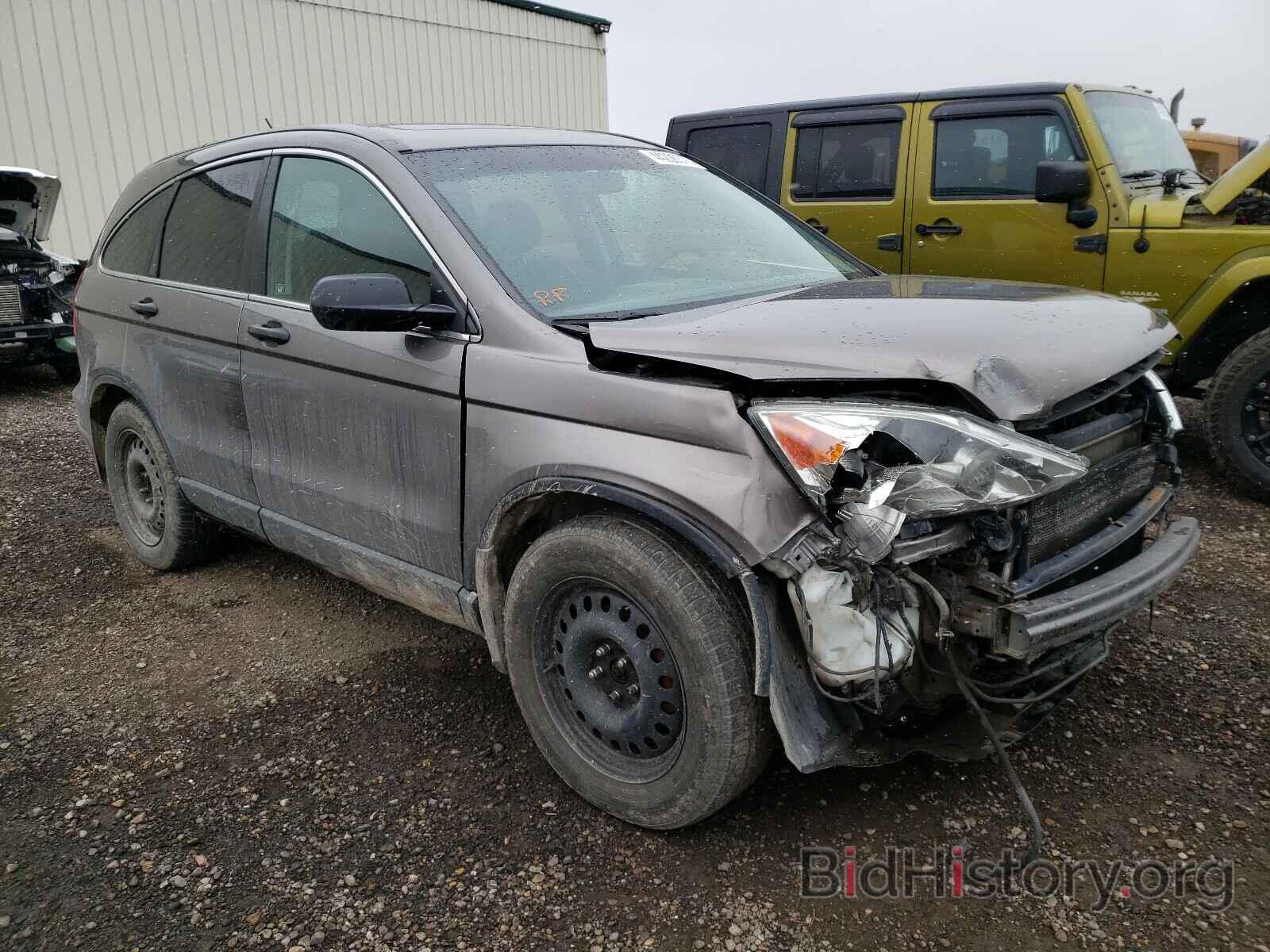 Photo 5J6RE48579L810781 - HONDA CRV 2009