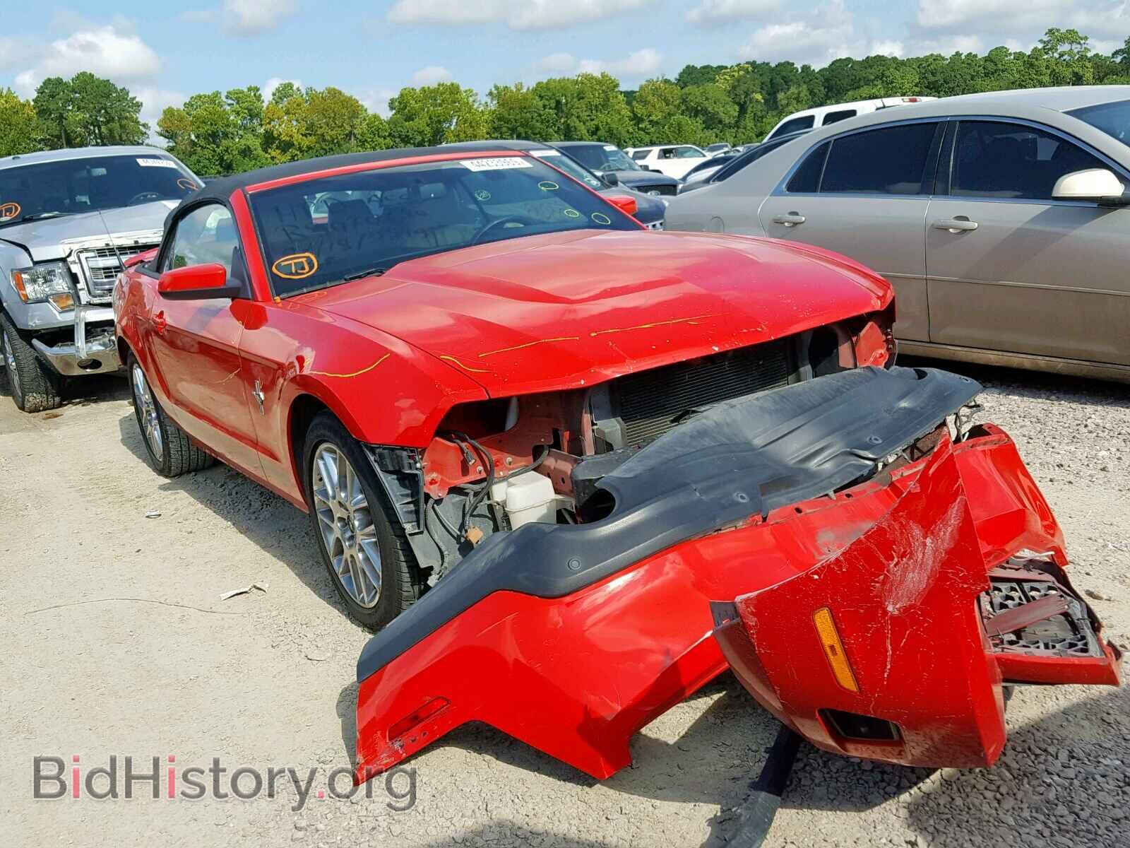 Фотография 1ZVBP8EM5C5242740 - FORD MUSTANG 2012