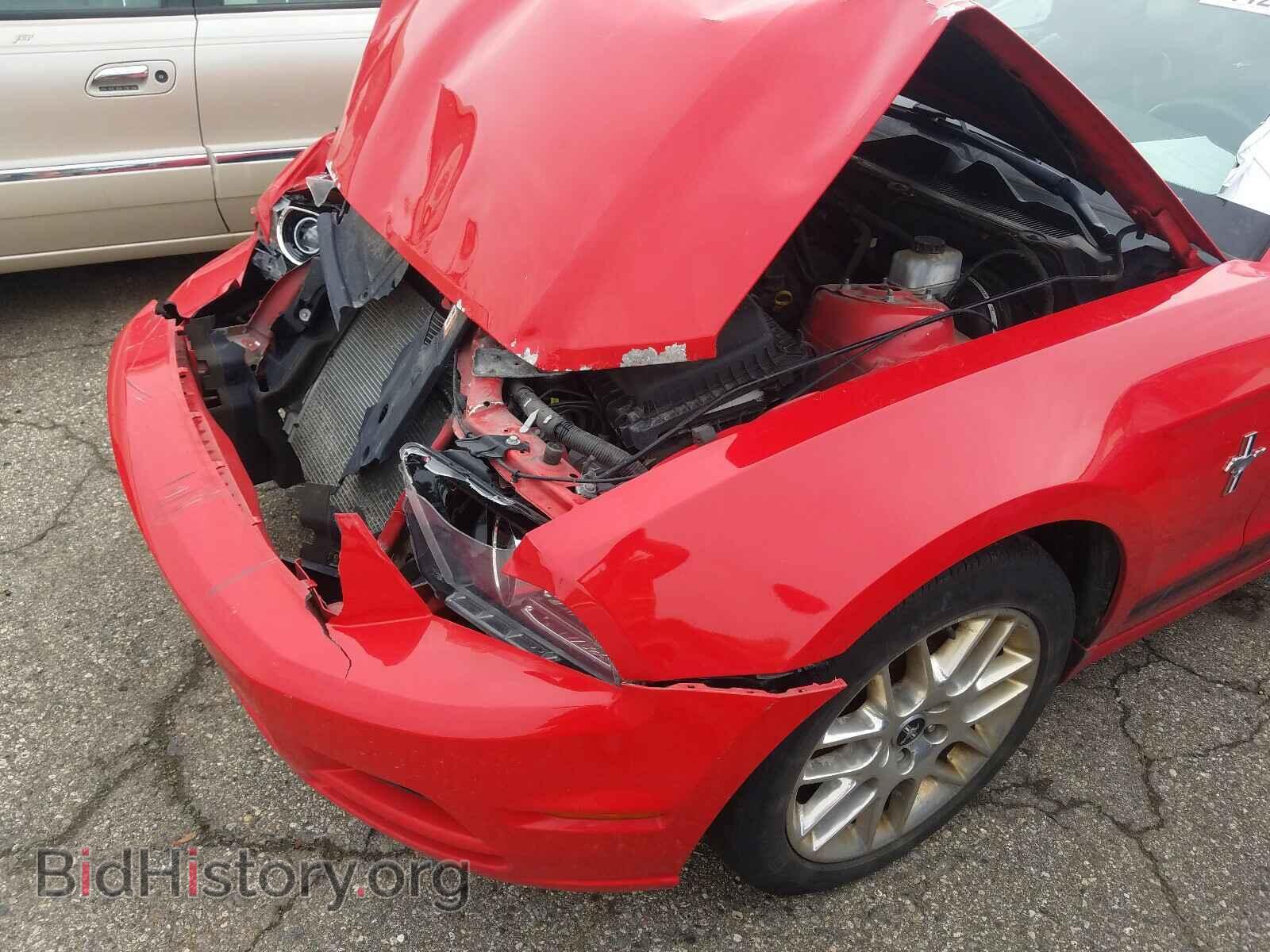 2014 FORD MUSTANG - VIN: 1ZVBP8AM1E5204088 - Фото 10