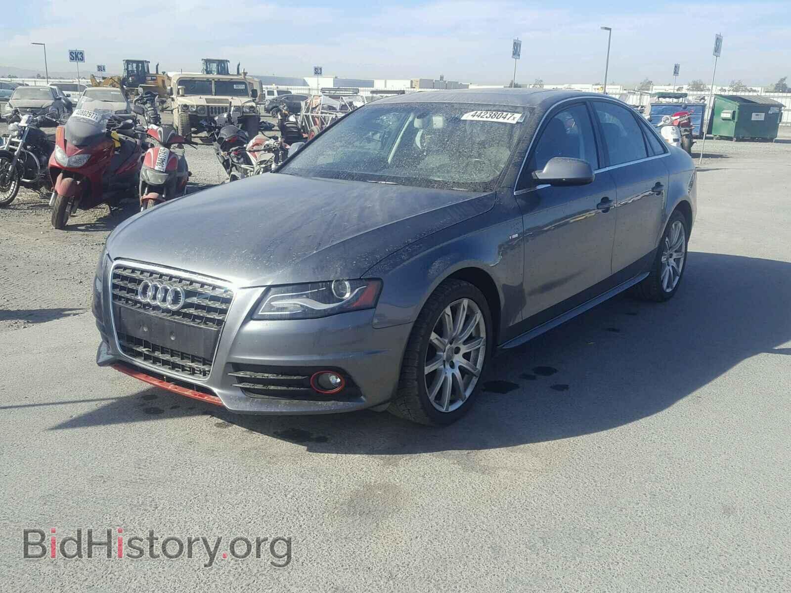 2012 AUDI A4 - VIN: WAUEFAFL8CA120314 - Фото 2