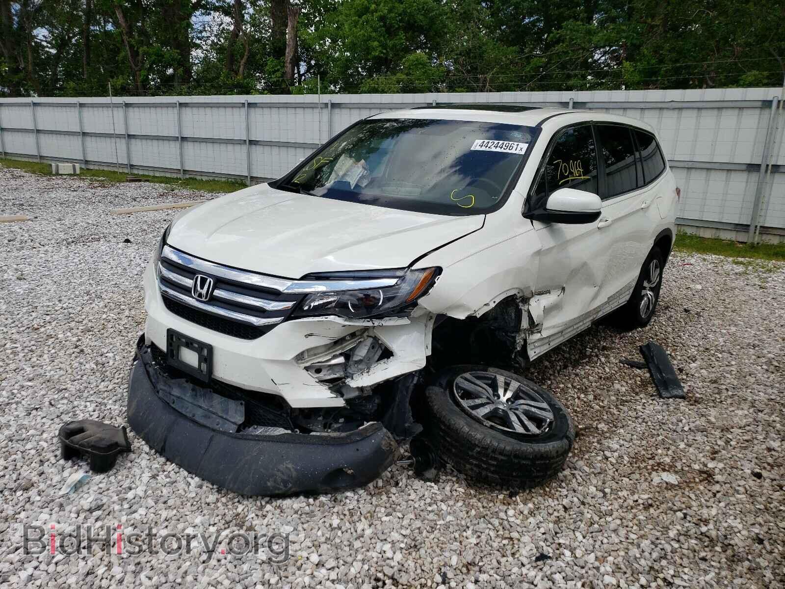 2017 HONDA PILOT - VIN: 5FNYF5H55HB047908 - Фото 2