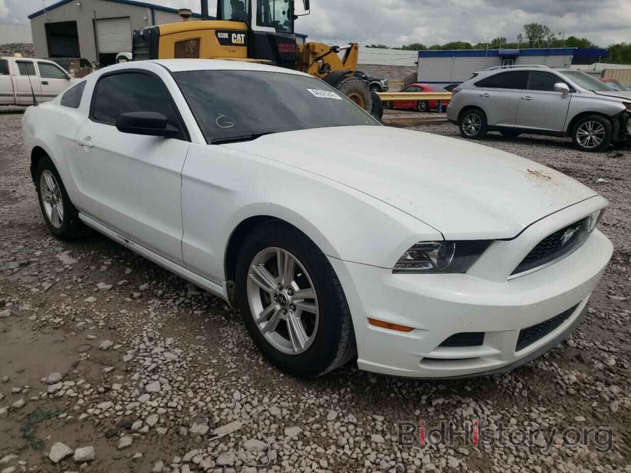 Photo 1ZVBP8AM7E5214494 - FORD MUSTANG 2014