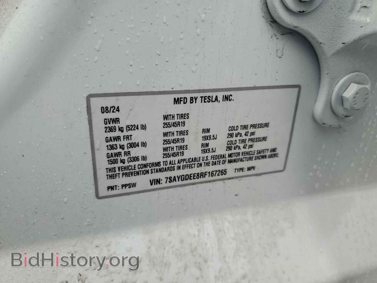 2024 TESLA MODEL Y - VIN: 7SAYGDEE8RF167265 - Photo 14