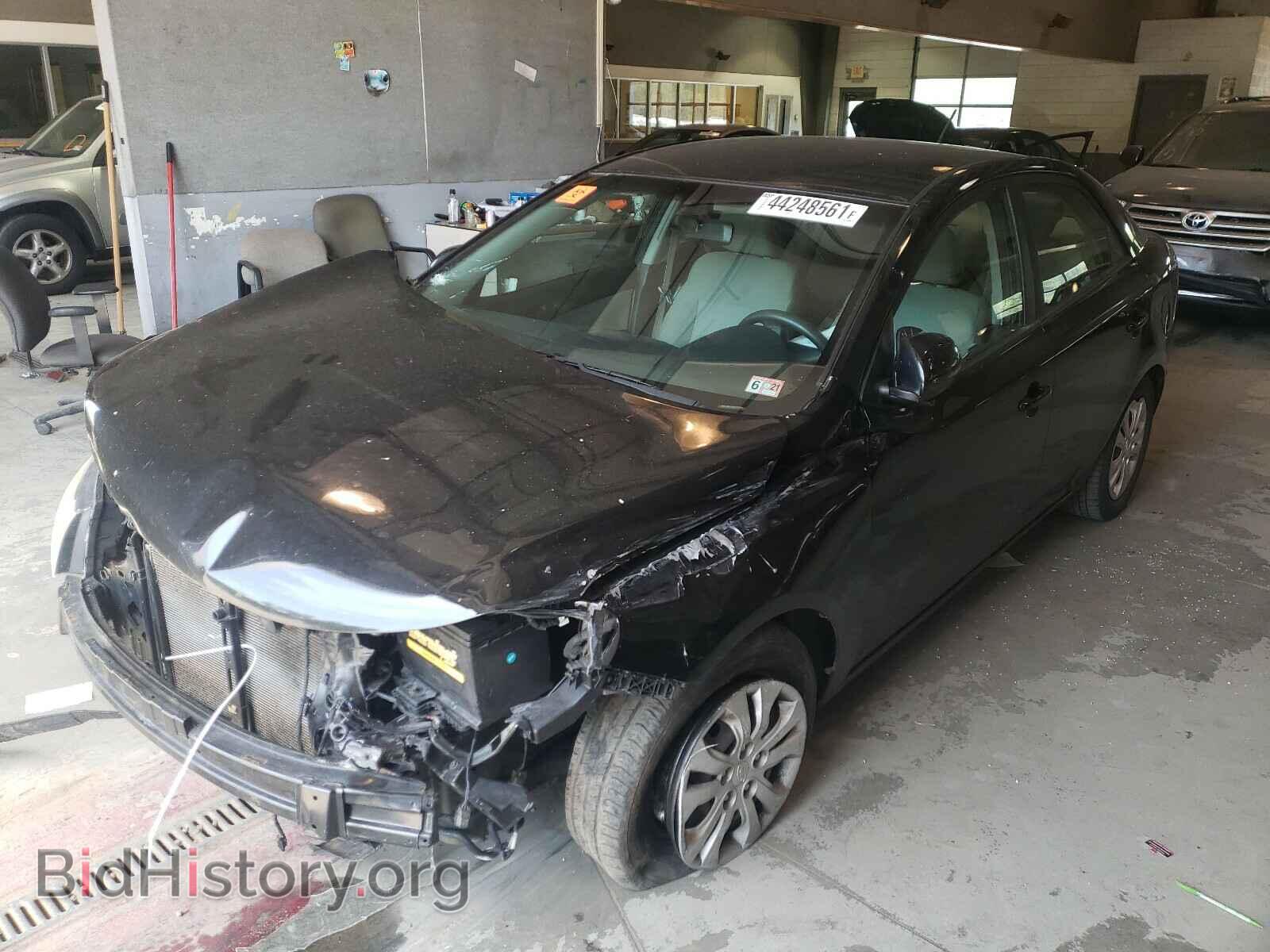 2012 KIA FORTE - VIN: KNAFU4A26C5591056 - Фото 2