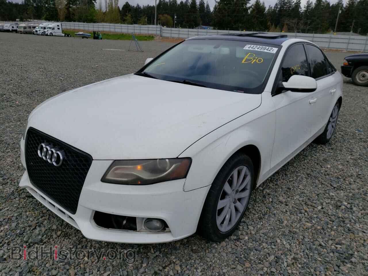 2011 AUDI A4 - VIN: WAUEFAFL0BN001082 - Фото 2