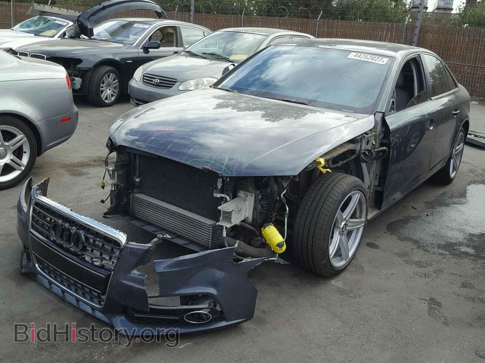 2010 AUDI A4 - VIN: WAUAFAFL7AN034349 - Фото 2