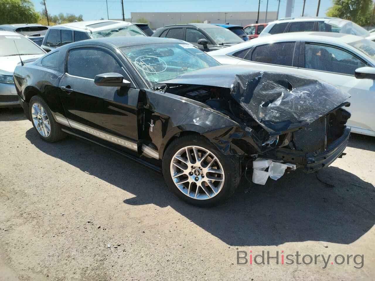 Photo 1ZVBP8AM6E5219704 - FORD MUSTANG 2014