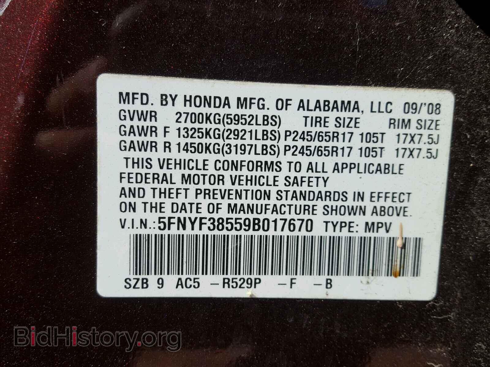 2009 HONDA PILOT - VIN: 5FNYF38559B017670 - Фото 10