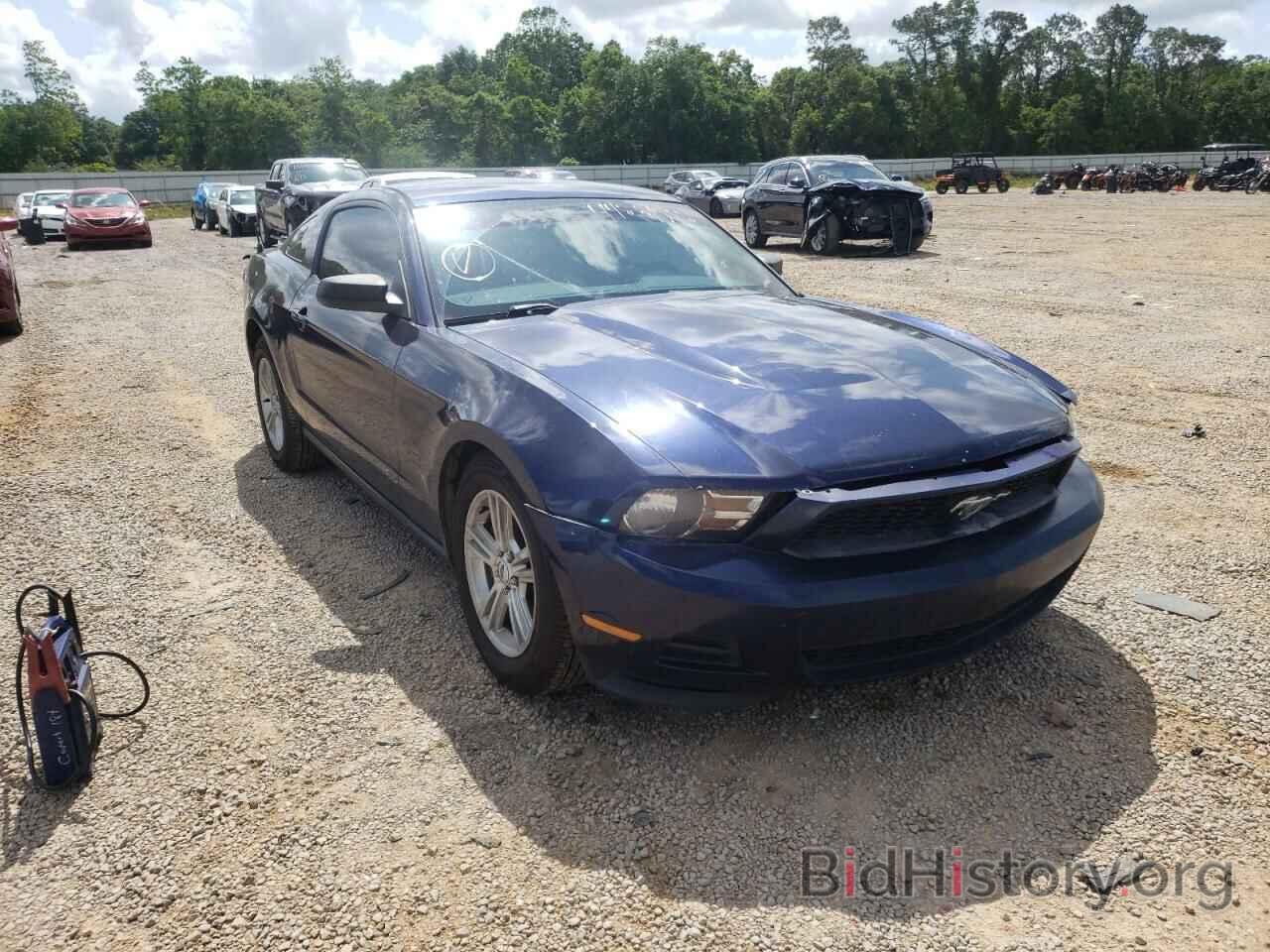 Photo 1ZVBP8AMXC5264593 - FORD MUSTANG 2012