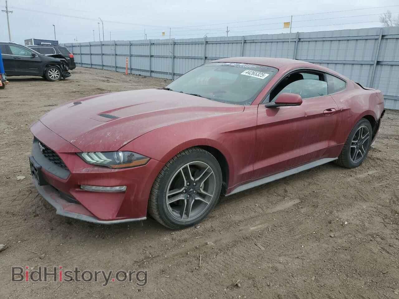 Фотография 1FA6P8THXK5157973 - FORD ALL Models 2019