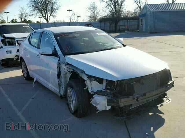 Фотография KNAGM4A70D5360977 - KIA OPTIMA 2013