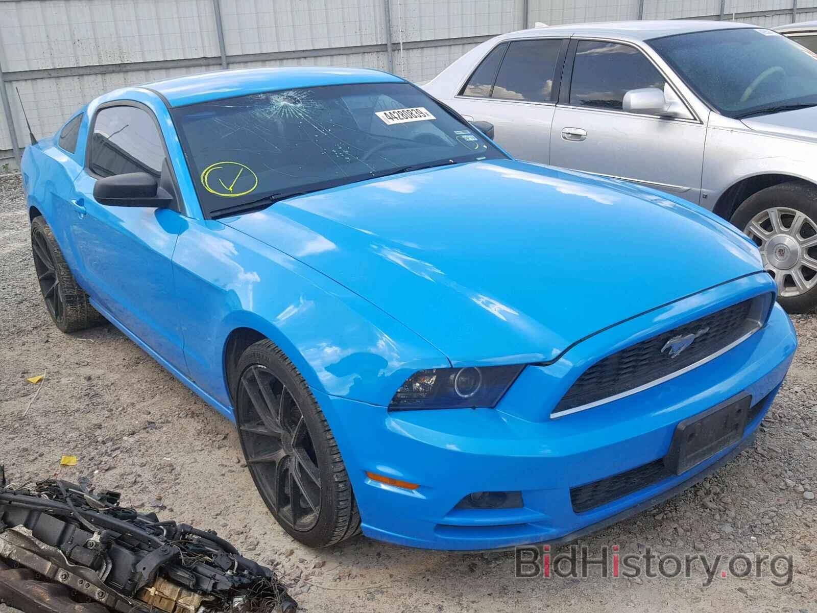 Photo 1ZVBP8AM6D5231866 - FORD MUSTANG 2013