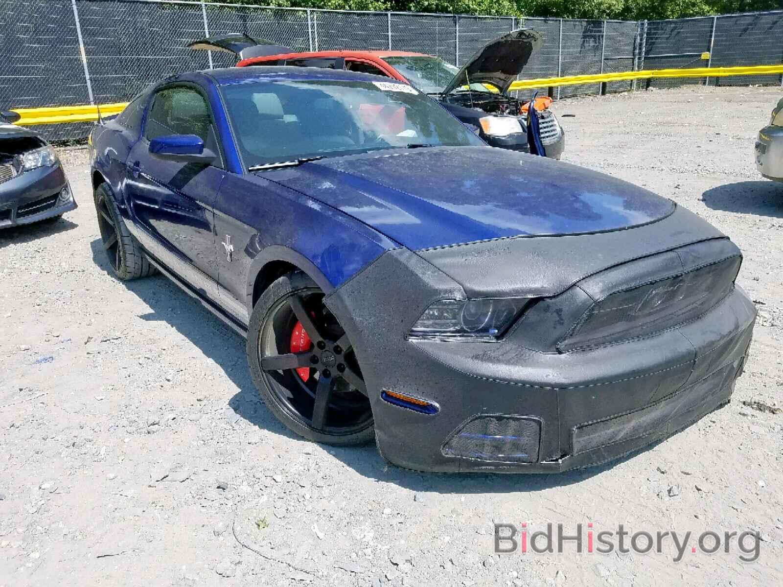 Photo 1ZVBP8AM8D5259958 - FORD MUSTANG 2013