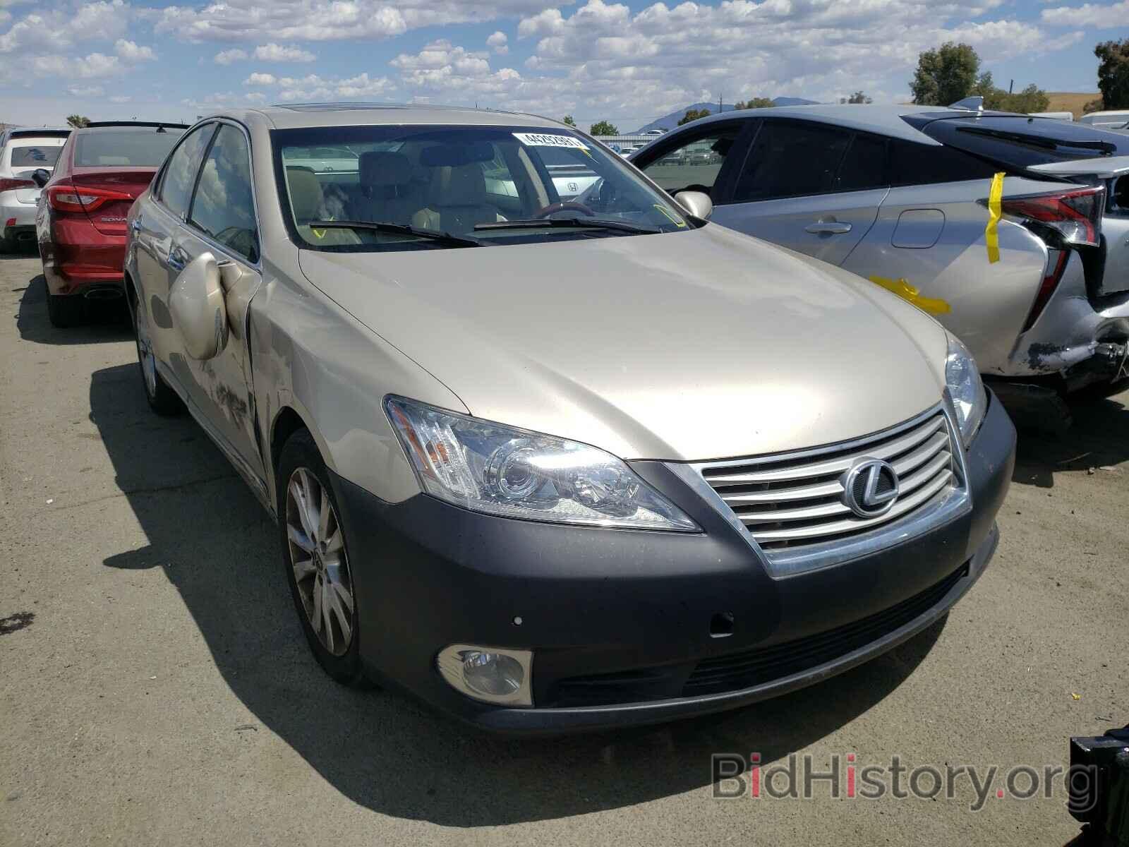 Фотография JTHBK1EG5B2471761 - LEXUS ES350 2011