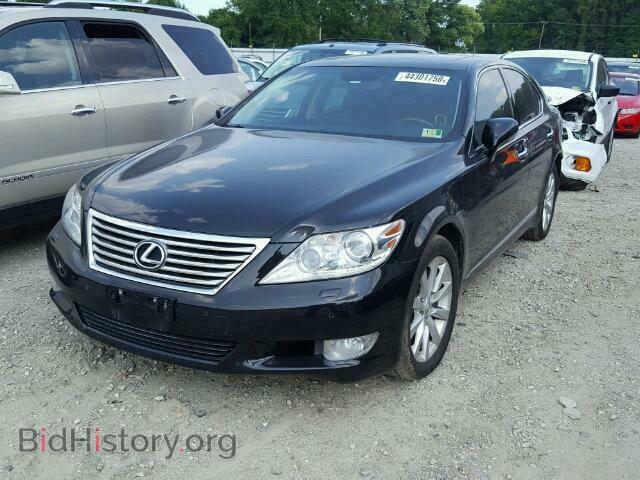 2011 LEXUS LS460 - VIN: JTHCL5EF3B5012257 - Фото 2