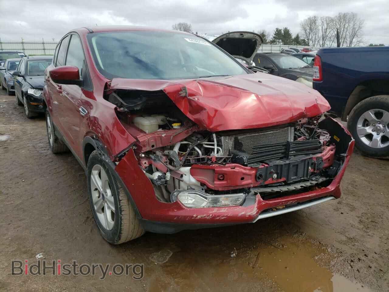 Photo 1FMCU0GX5EUD26750 - FORD ESCAPE 2014