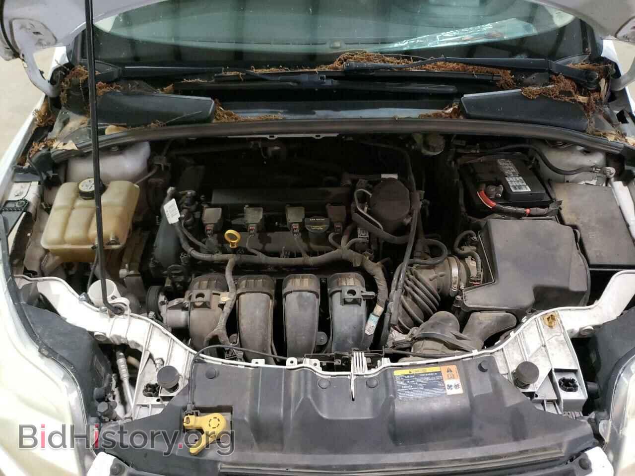 2013 FORD FOCUS - VIN: 1FADP3F2XDL302509 - Фото 7