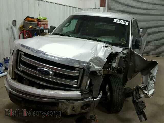 2013 FORD F150 - VIN: 1FTMF1CM9DFD63596 - Фото 2