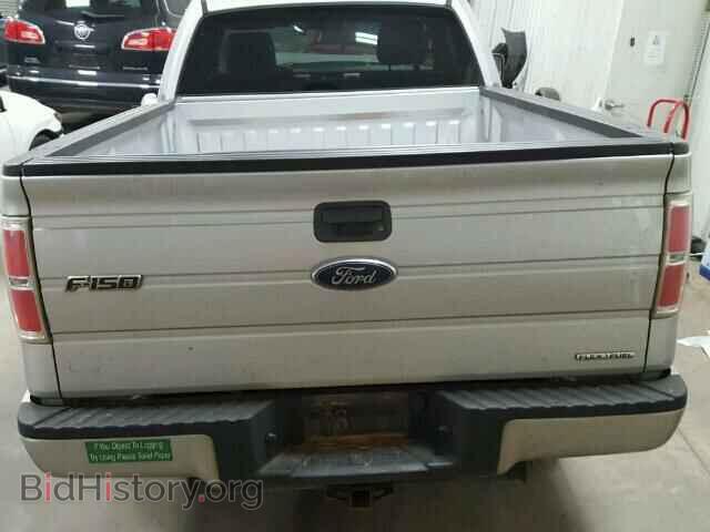 2013 FORD F150 - VIN: 1FTMF1CM9DFD63596 - Фото 6