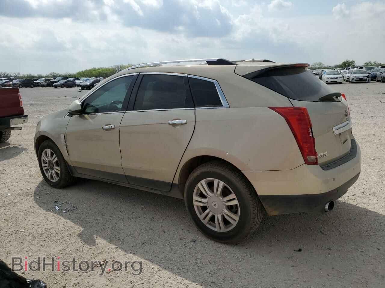 2011 CADILLAC SRX - VIN: 3GYFNAEY8BS631066 - Фото 2