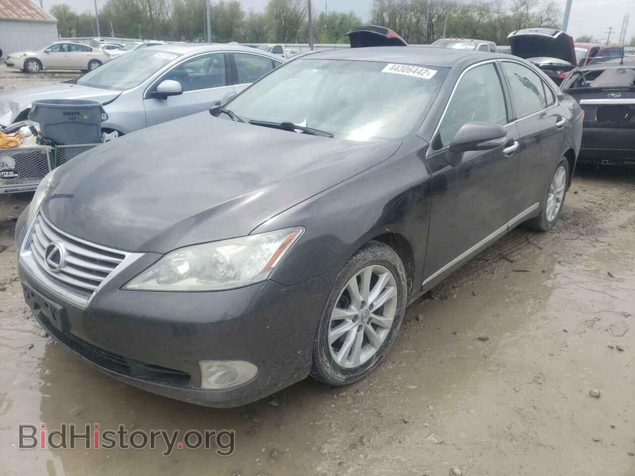 2010 LEXUS ES350 - VIN: JTHBK1EG7A2353645 - Фото 2