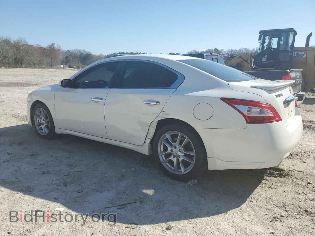 2011 NISSAN MAXIMA - VIN: 1N4AA5AP8BC820215 - Фото 2
