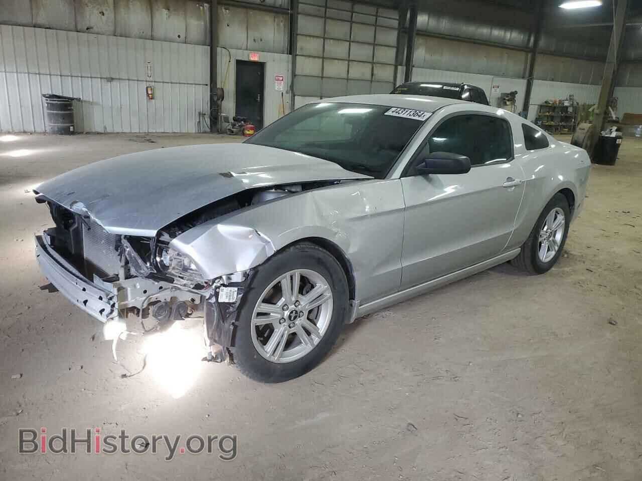 Photo 1ZVBP8AM1D5260000 - FORD ALL Models 2013