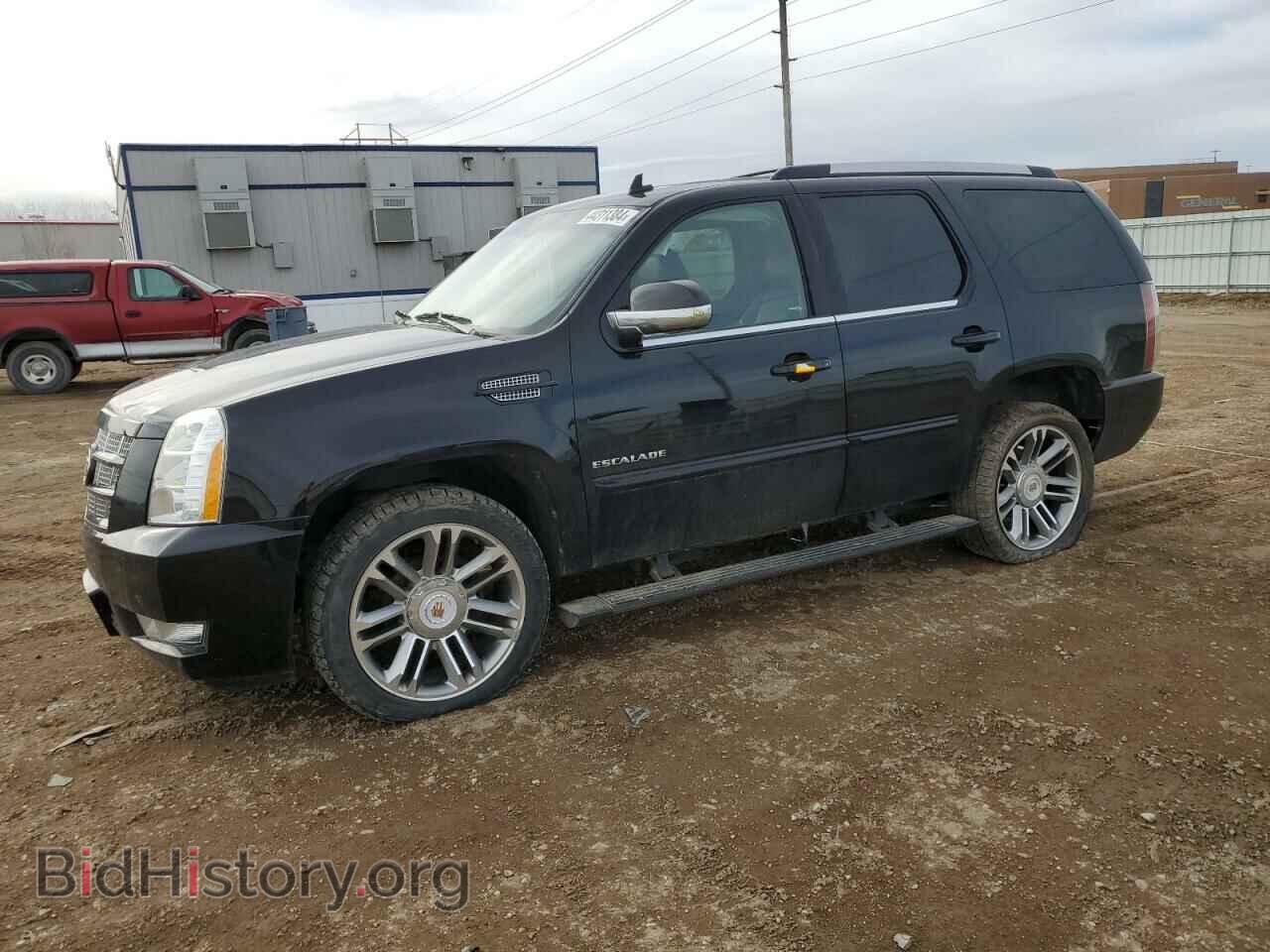 Фотография 1GYS4CEF2DR241596 - CADILLAC ESCALADE 2013