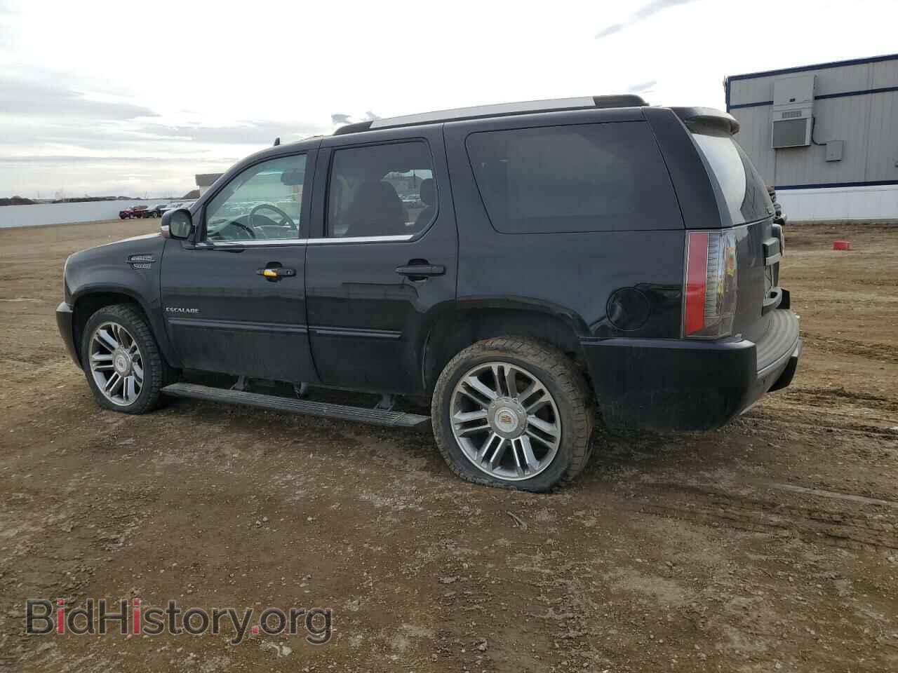 2013 CADILLAC ESCALADE - VIN: 1GYS4CEF2DR241596 - Фото 2