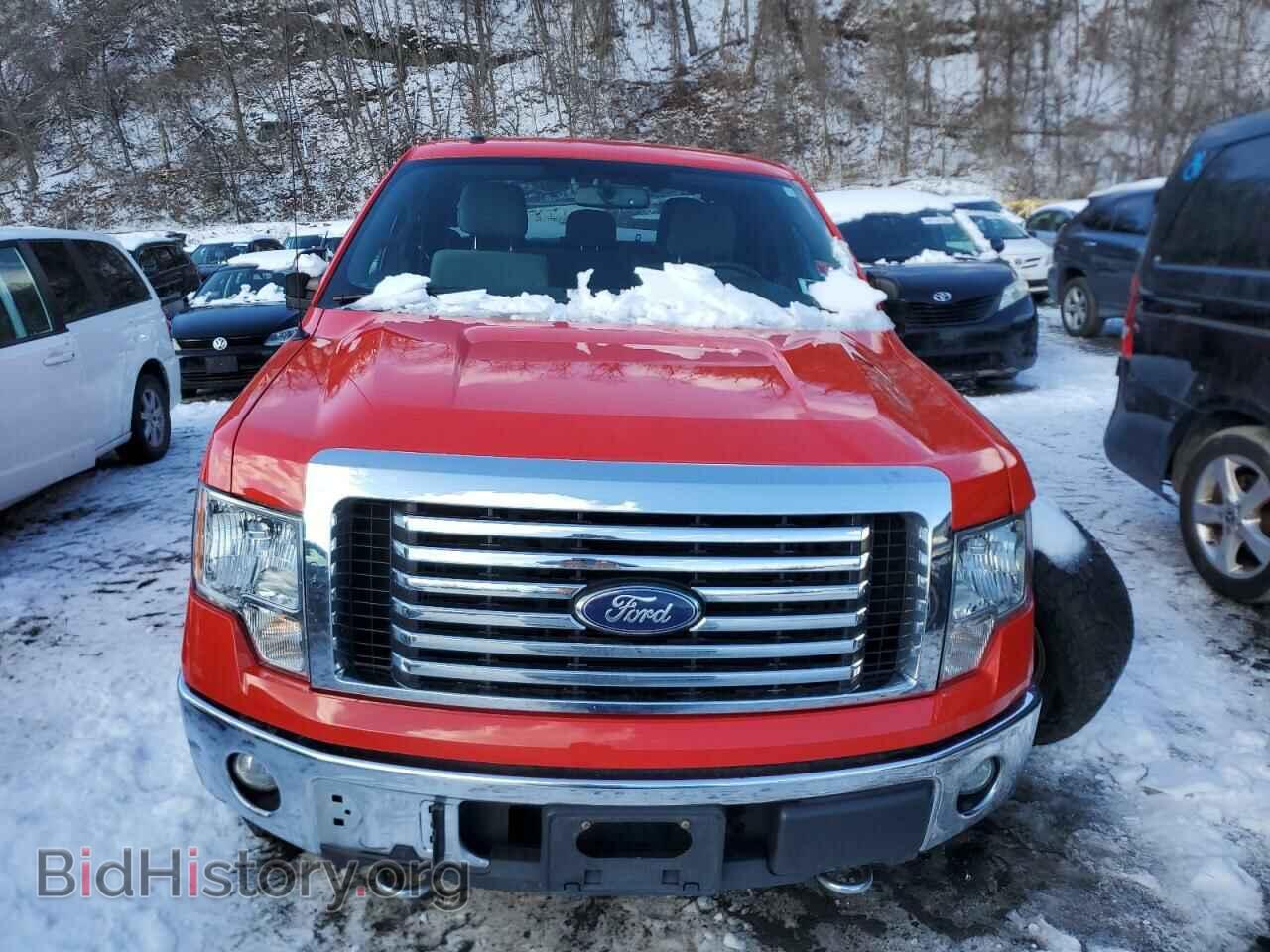 2011 FORD F-150 - VIN: 1FTFX1EF2BFC54687 - Фото 5