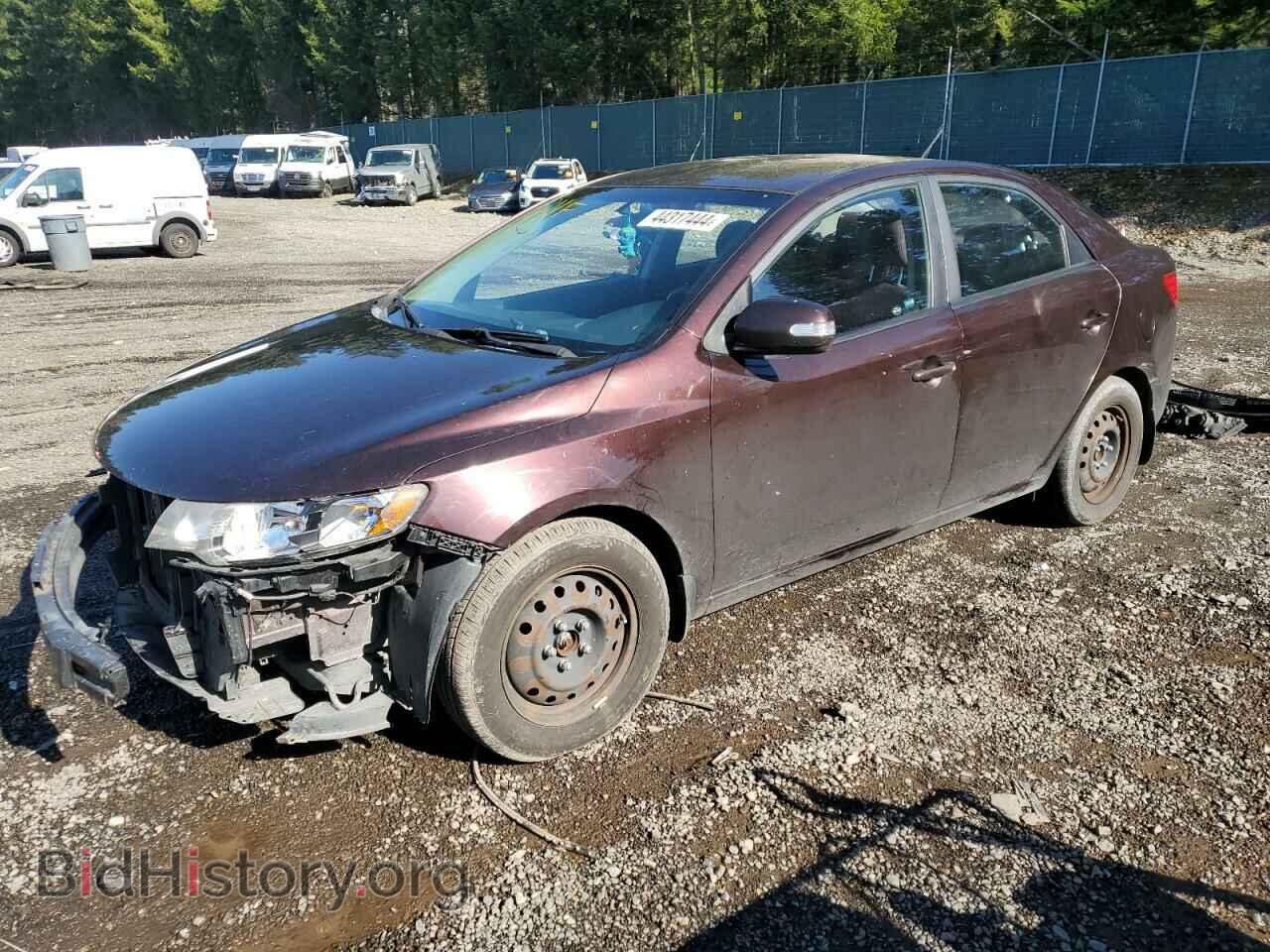 Фотография KNAFU4A20A5163092 - KIA FORTE 2010