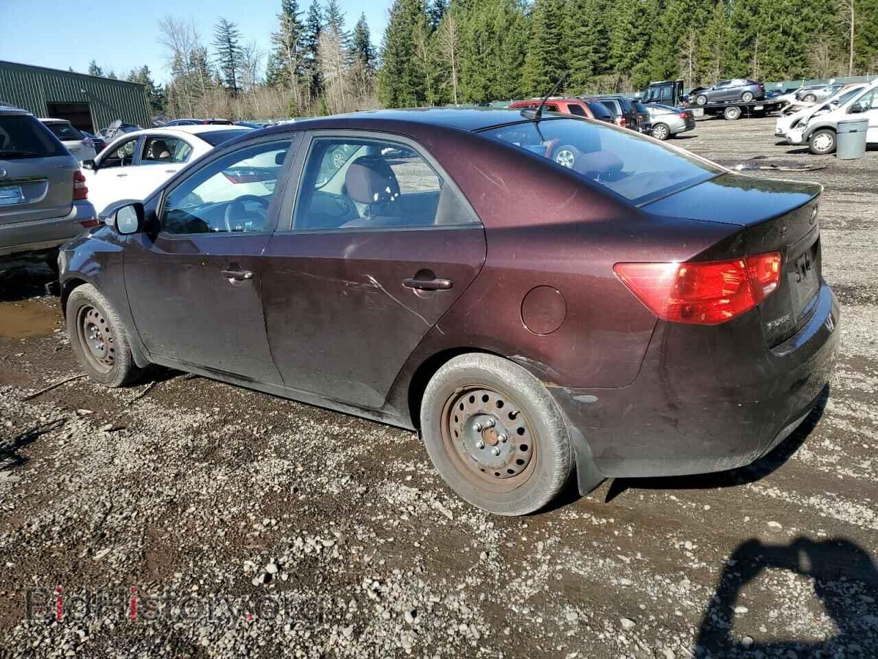 2010 KIA FORTE - VIN: KNAFU4A20A5163092 - Фото 2