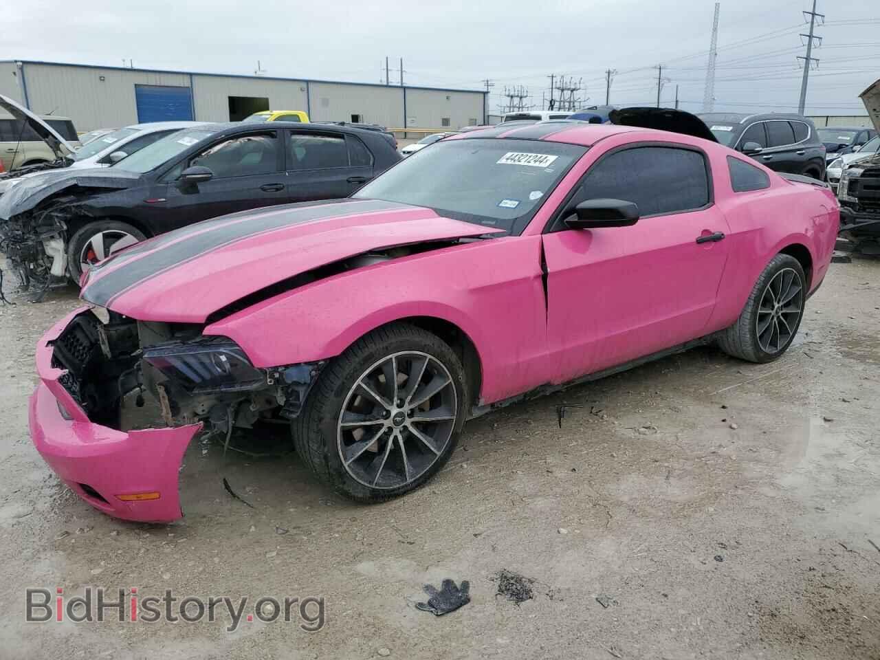Фотография 1ZVBP8AM7B5123088 - FORD ALL Models 2011