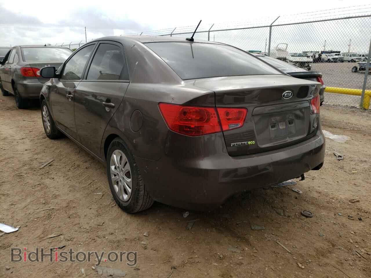 2013 KIA FORTE - VIN: KNAFU4A20D5648305 - Фото 3