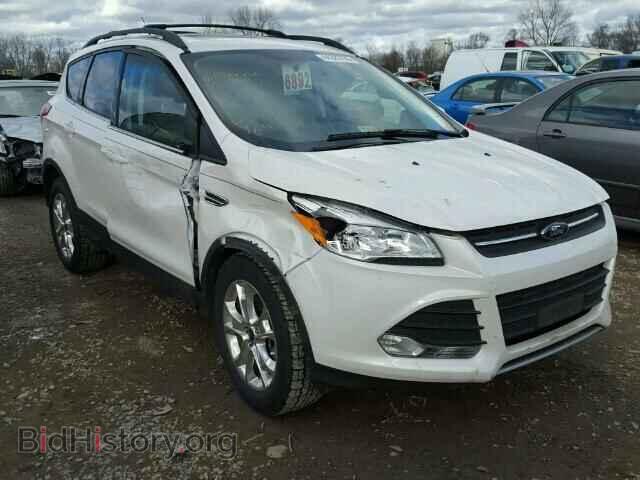 Photo 1FMCU0G97DUB51563 - FORD ESCAPE 2013