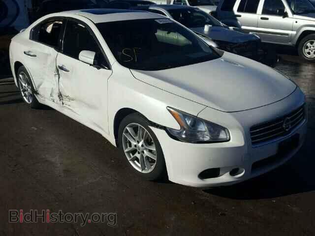 Photo 1N4AA5AP9BC804086 - NISSAN MAXIMA S 2011