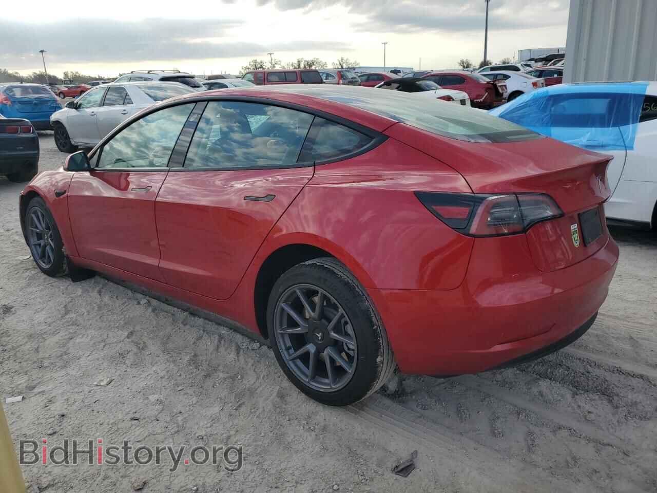 2023 TESLA MODEL 3 - VIN: 5YJ3E1EA1PF591196 - Фото 2