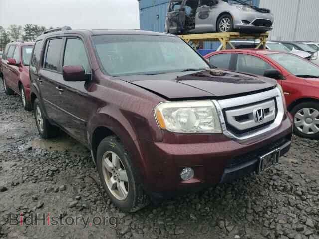Фотография 5FNYF48519B004436 - HONDA PILOT 2009