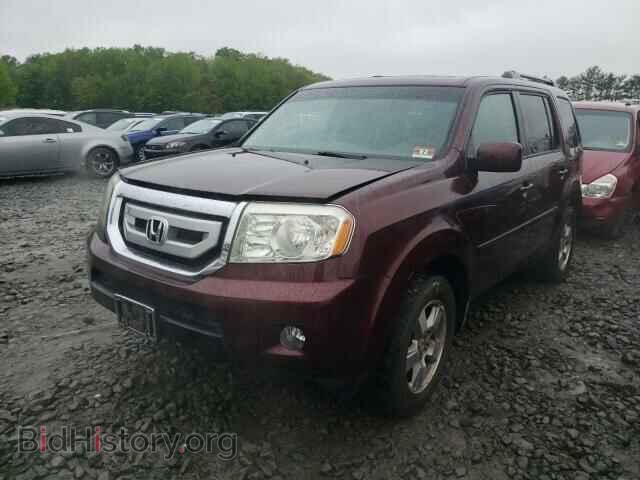 2009 HONDA PILOT - VIN: 5FNYF48519B004436 - Фото 2