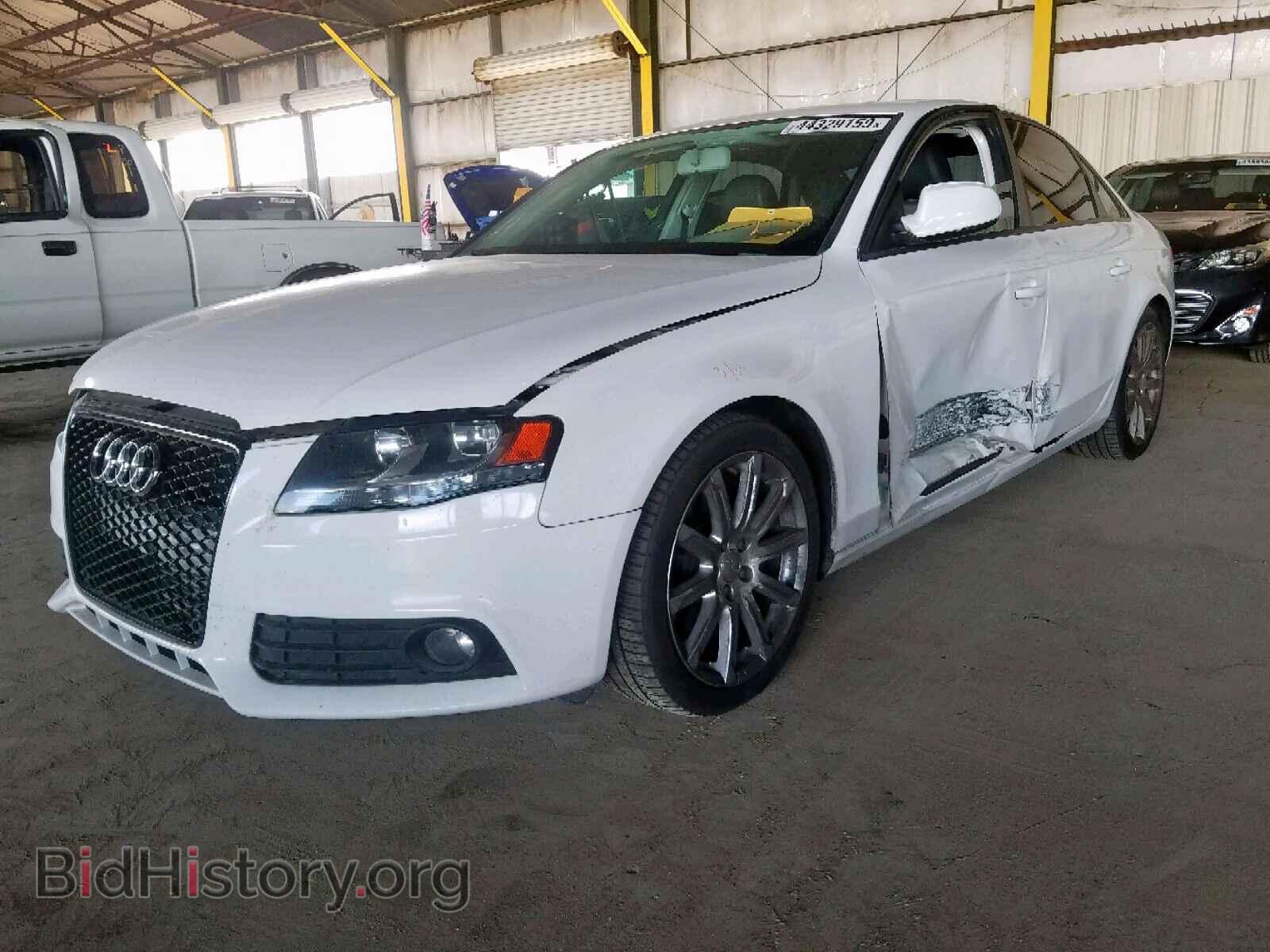 2010 AUDI A4 - VIN: WAUBFAFL6AN068903 - Фото 2