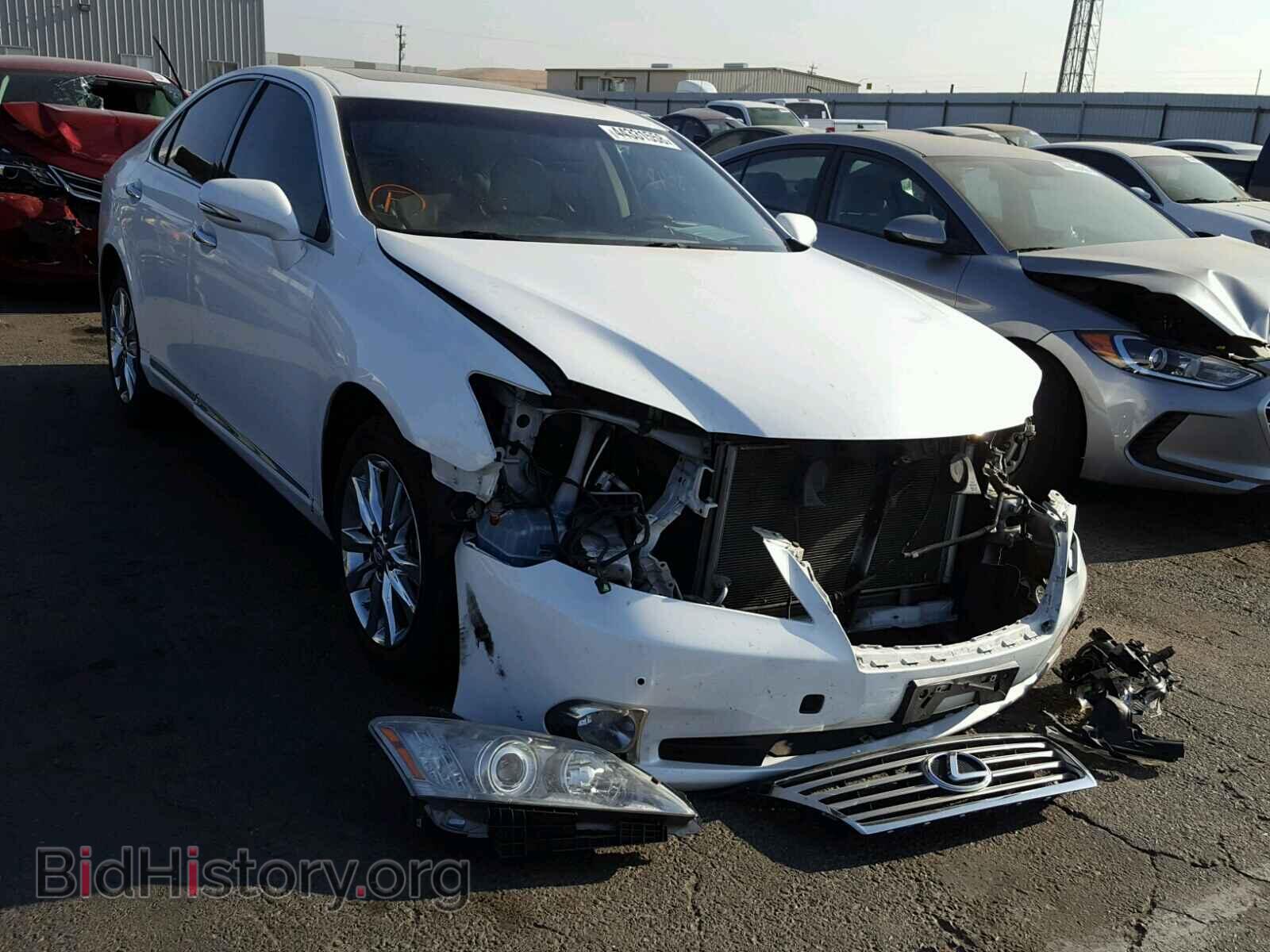 Фотография JTHBK1EG0C2485200 - LEXUS ES350 2012