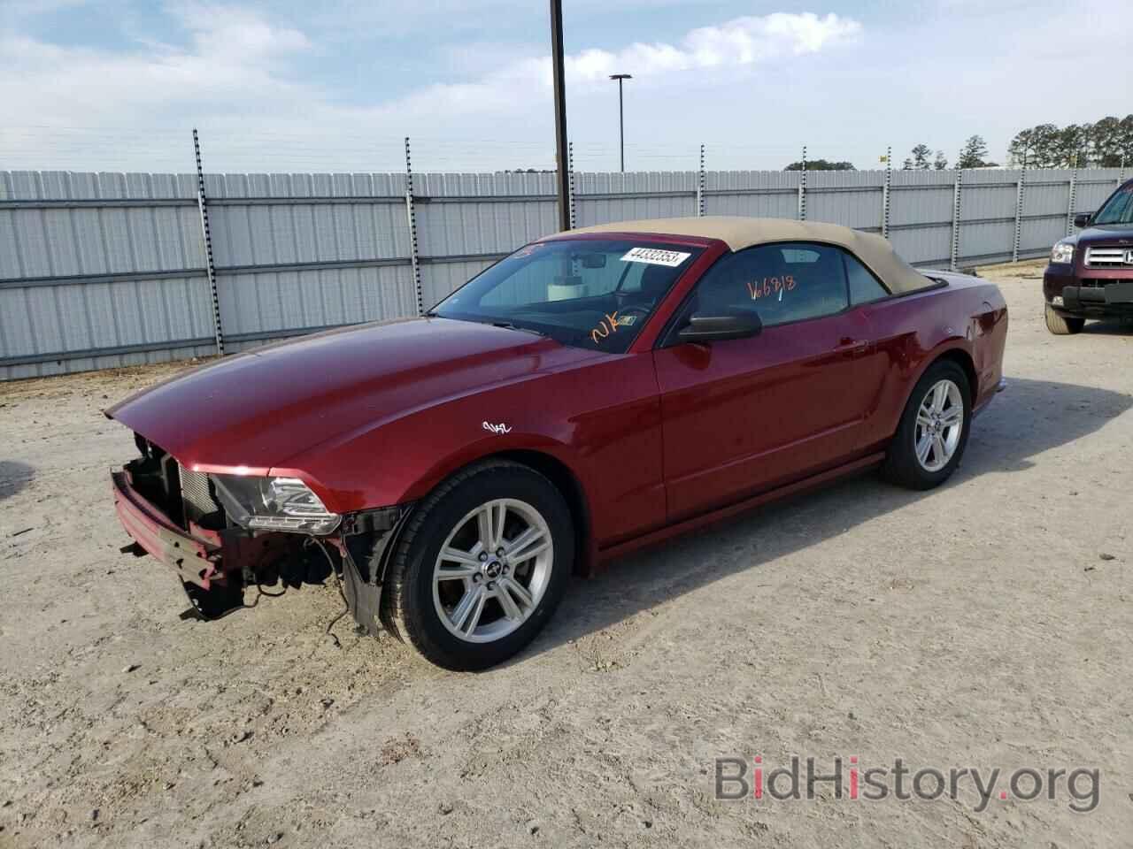 Photo 1ZVBP8EMXE5243093 - FORD MUSTANG 2014