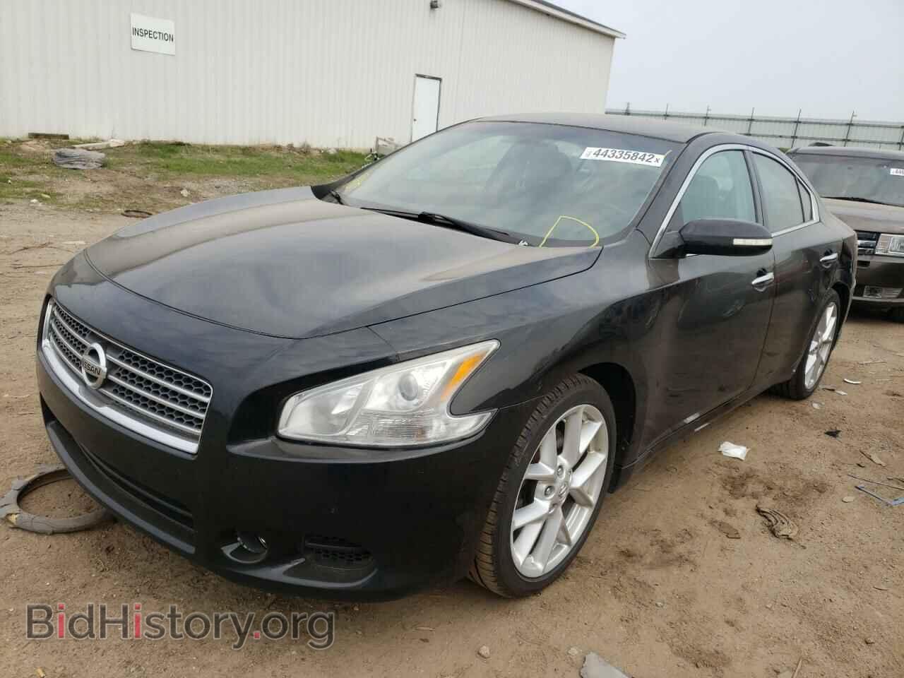 2009 NISSAN MAXIMA - VIN: 1N4AA51EX9C811959 - Фото 2