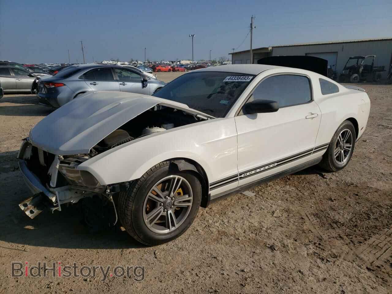 Фотография 1ZVBP8AM4C5231024 - FORD MUSTANG 2012