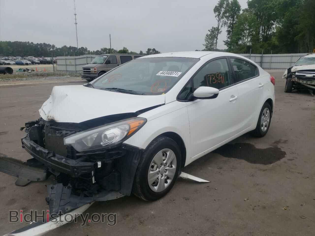 2014 KIA FORTE - VIN: KNAFK4A69E5073776 - Фото 2