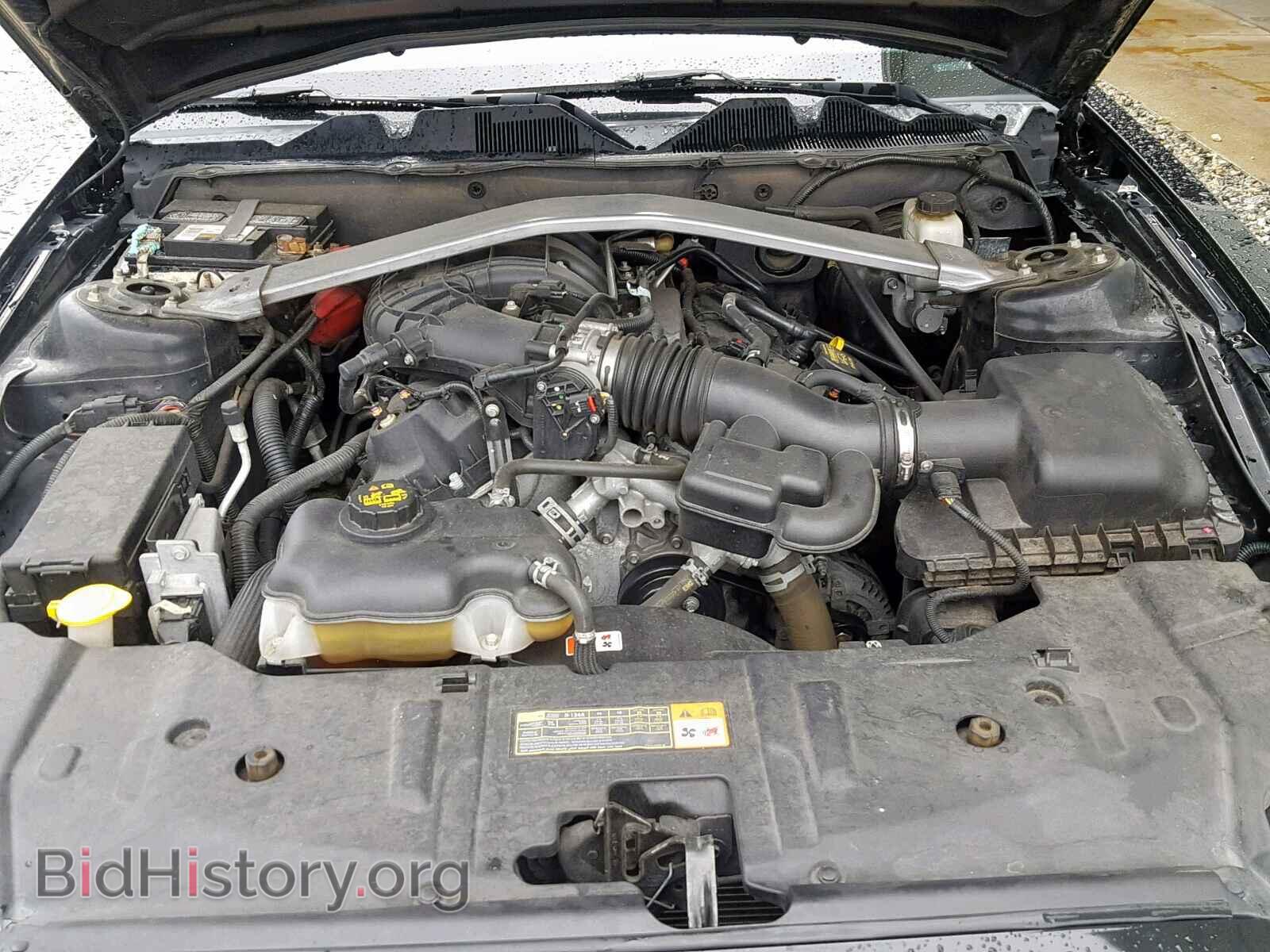 2014 FORD MUSTANG - VIN: 1ZVBP8EM4E5265042 - Фото 7