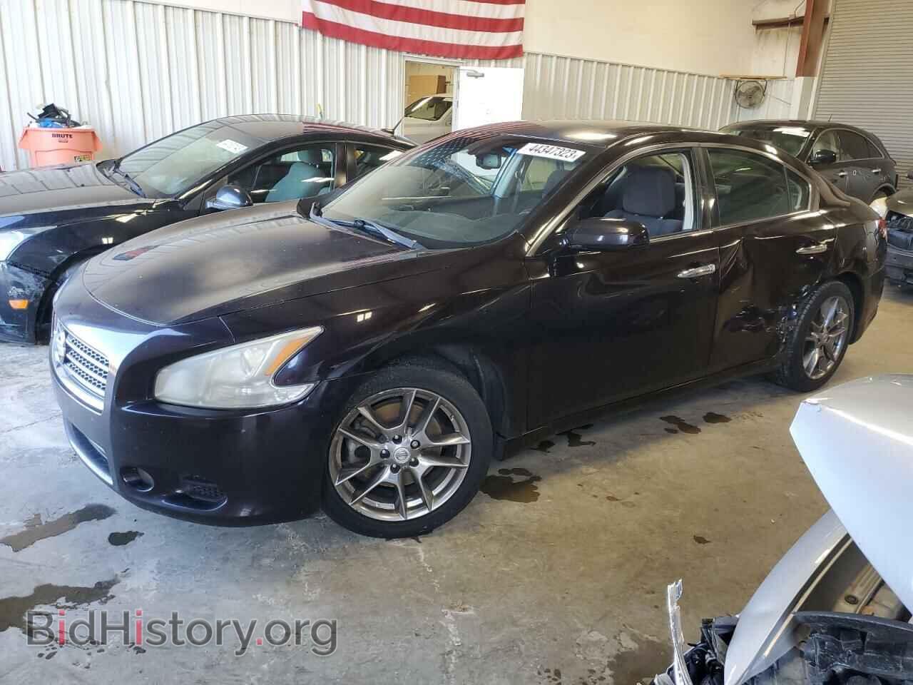 Фотография 1N4AA5AP3BC820395 - NISSAN MAXIMA 2011