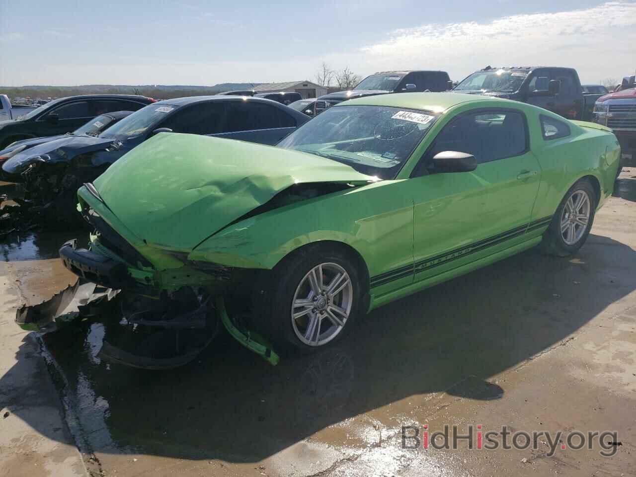 Photo 1ZVBP8AM0D5241213 - FORD MUSTANG 2013